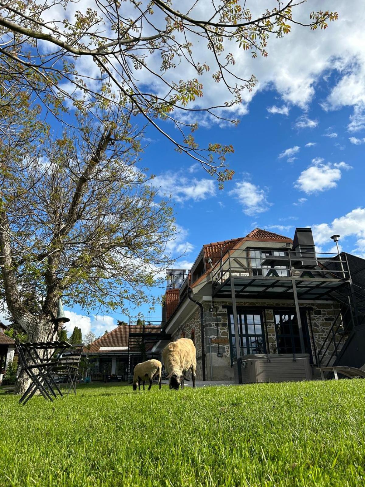 Ubytovanie na súkromí Hokovce Exterior foto