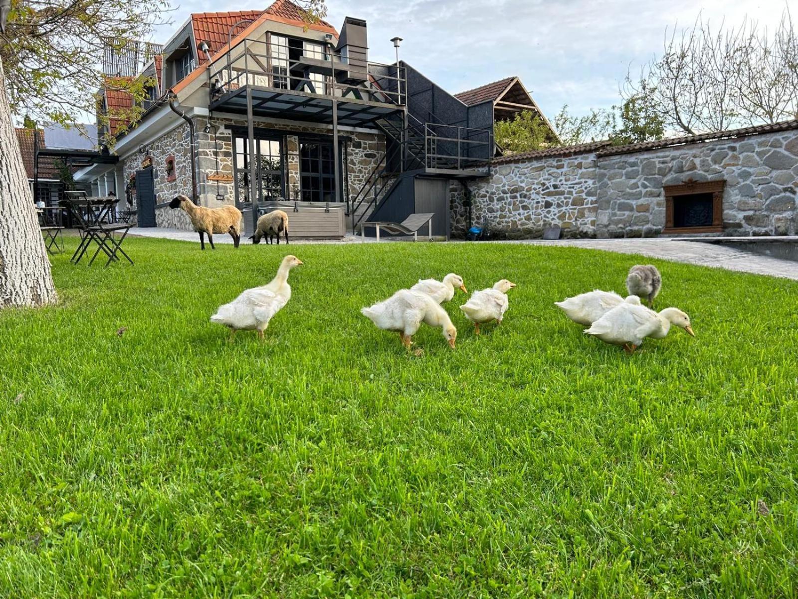 Ubytovanie na súkromí Hokovce Exterior foto